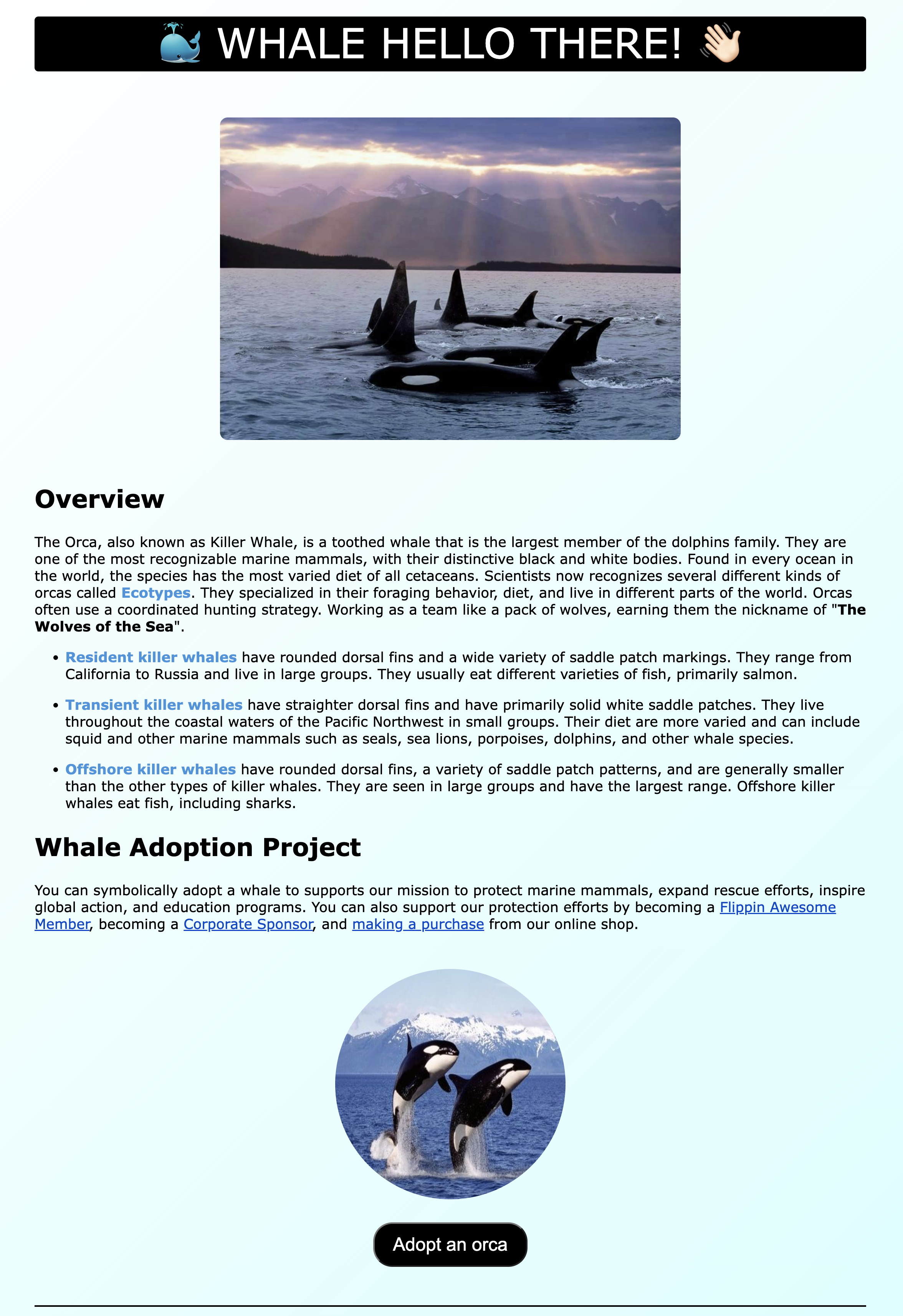 Landing page of orca adoption